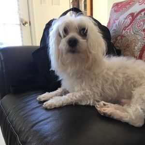 Meet your Posher, Anny